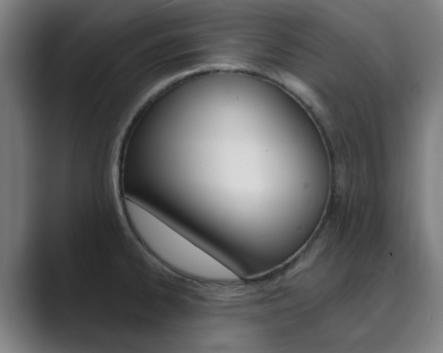 X0000089941334200706290808