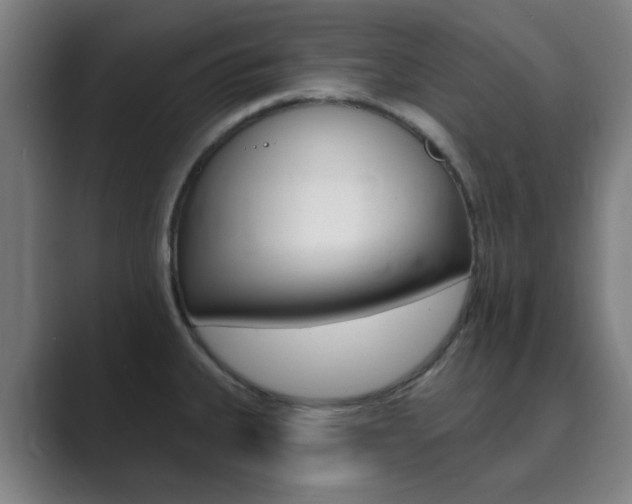 X0000089941335200706290808