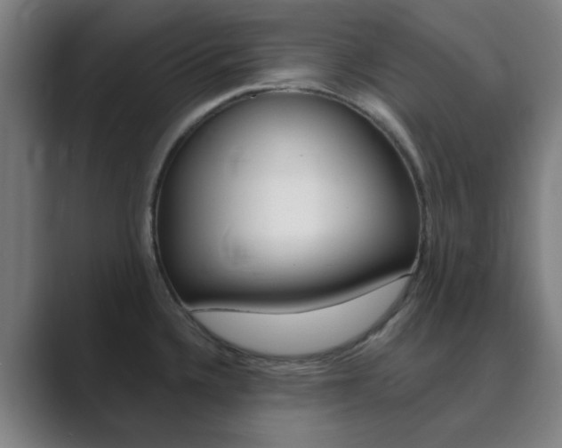 X0000089941336200706290808