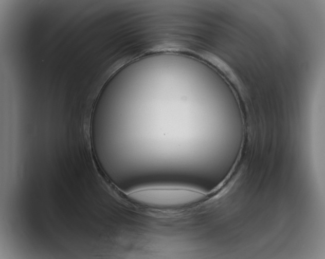 X0000089941337200706290808