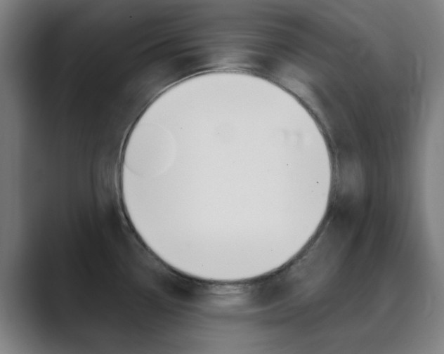 X0000089941338200706290808