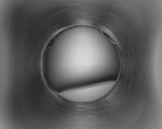 X0000089941339200706290808