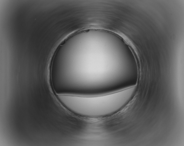X0000089941341200706290808