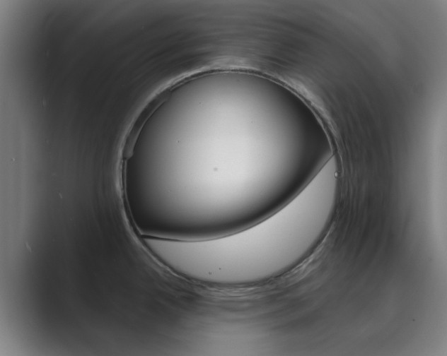 X0000089941342200706290808