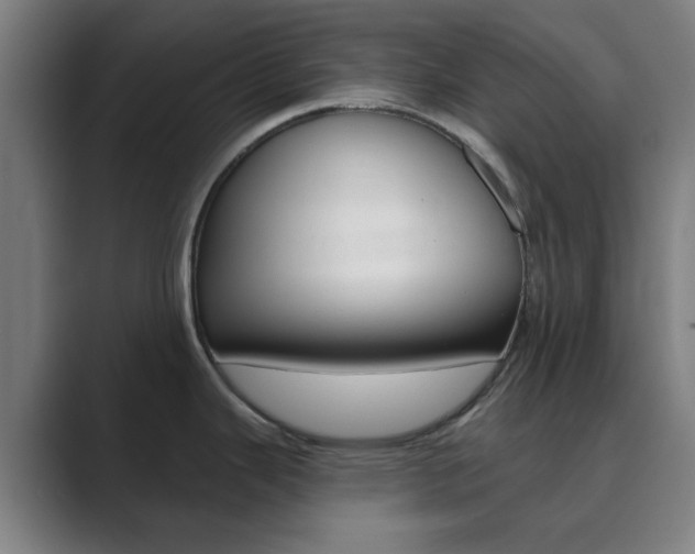 X0000089941343200706290808