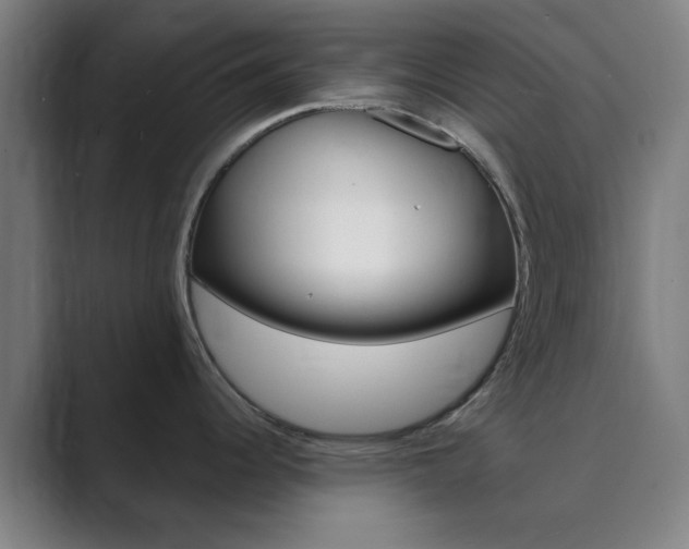 X0000089941344200706290808