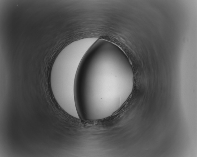 X0000089941345200706290807