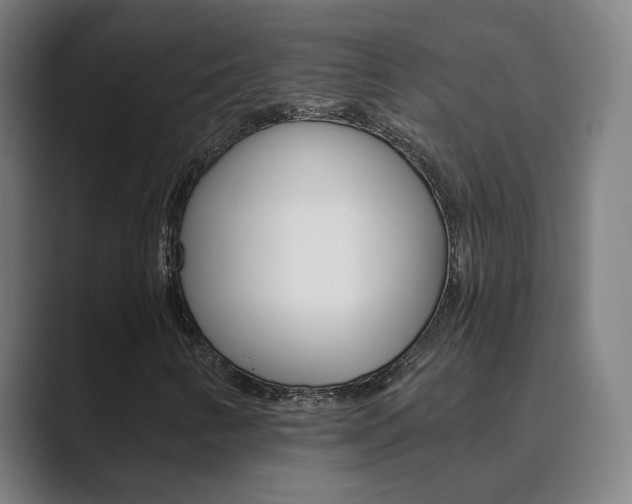 X0000089941346200706290807