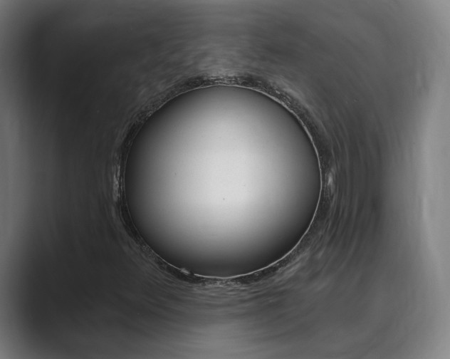 X0000089941348200706290807