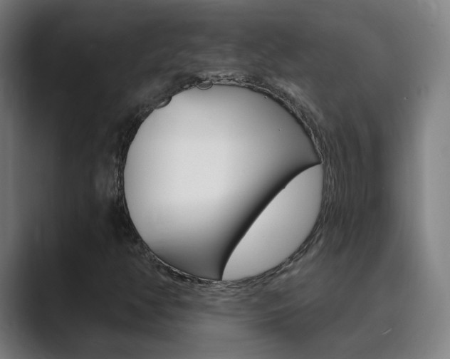 X0000089941350200706290807