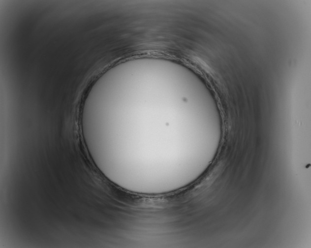 X0000089941354200706290807