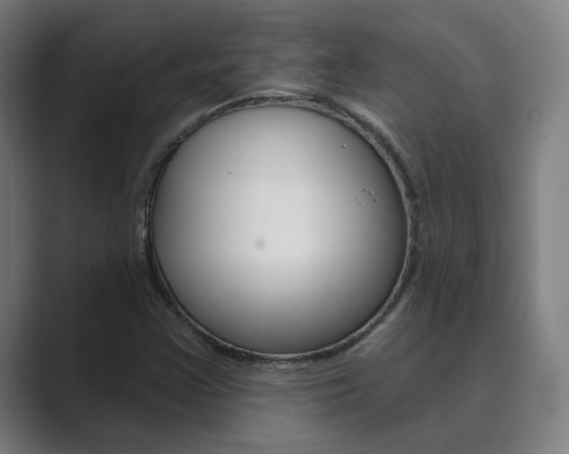 X0000089941355200706290807