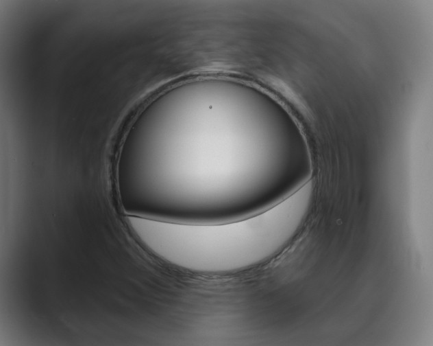 X0000089941356200706290807