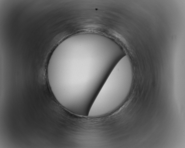 X0000089941362200706290807