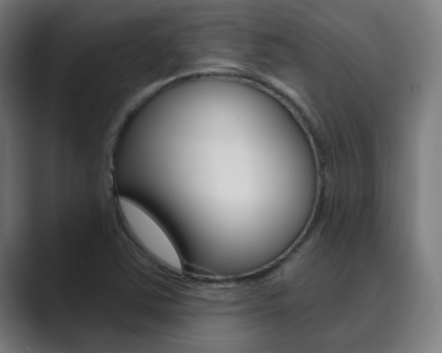 X0000089941363200706290807