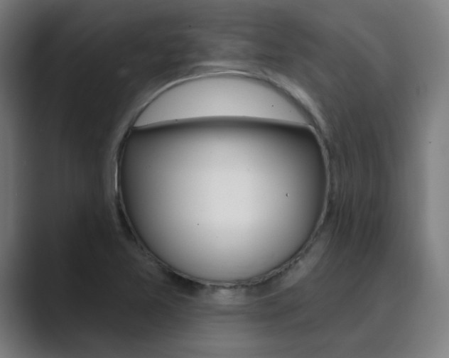 X0000089941365200706290807