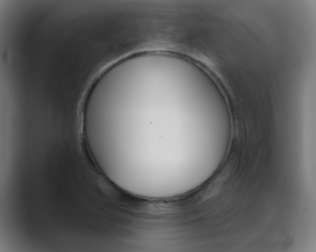 X0000089941366200706290807