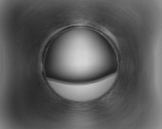 X0000089941368200706290807