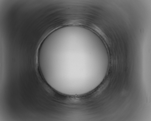 X0000089941370200706290807