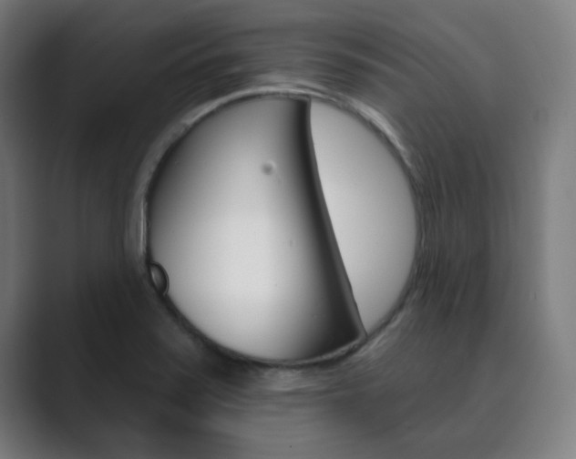 X0000089941371200706290807