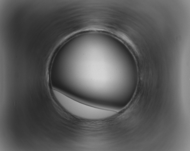 X0000089941372200706290807