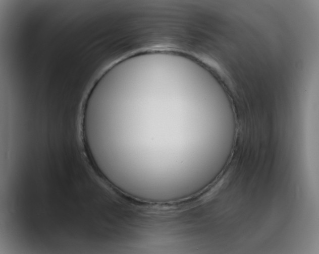 X0000089941374200706290807