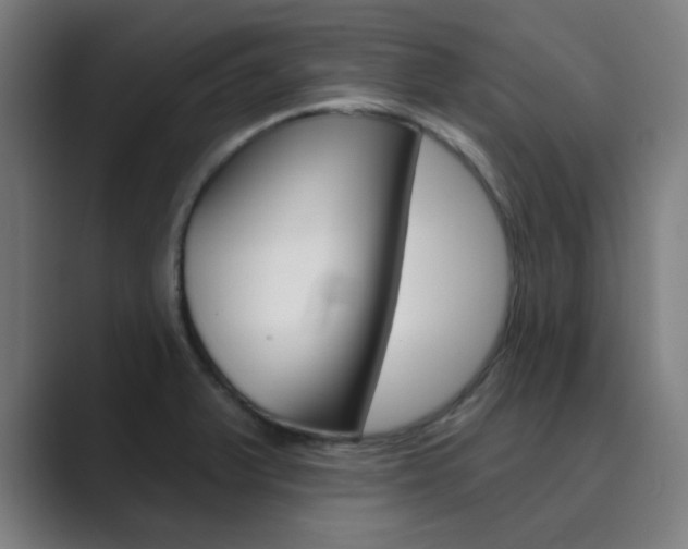 X0000089941375200706290807