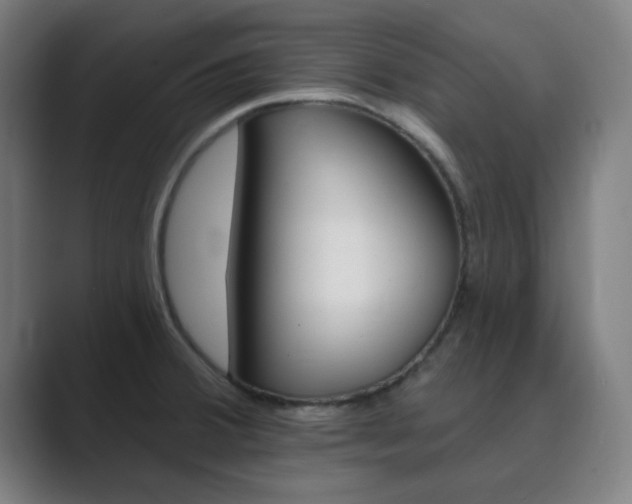 X0000089941380200706290807