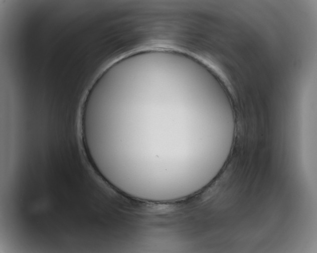 X0000089941382200706290807
