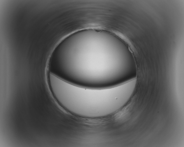 X0000089941383200706290807
