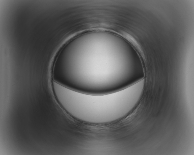 X0000089941384200706290807