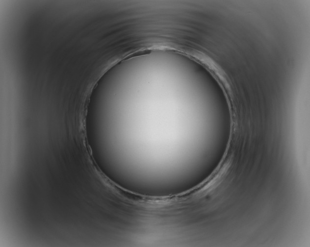 X0000089941385200706290807