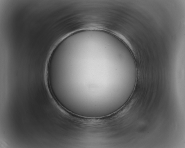 X0000089941387200706290807
