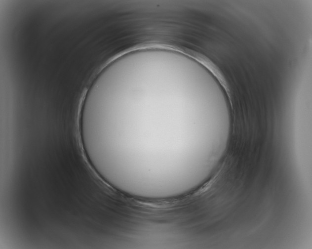 X0000089941388200706290807