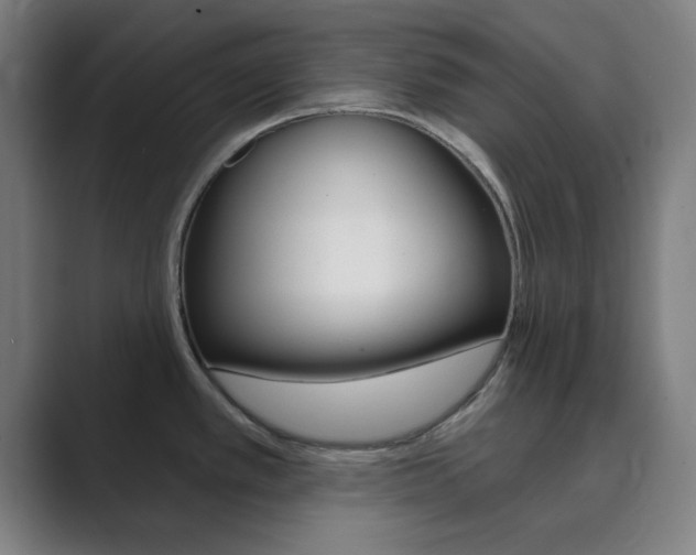 X0000089941389200706290807