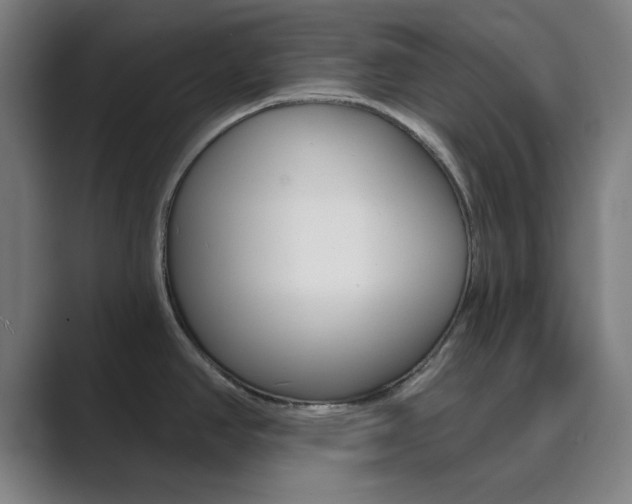 X0000089941390200706290807
