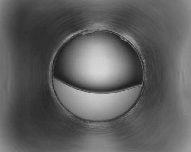 X0000089941392200706290807