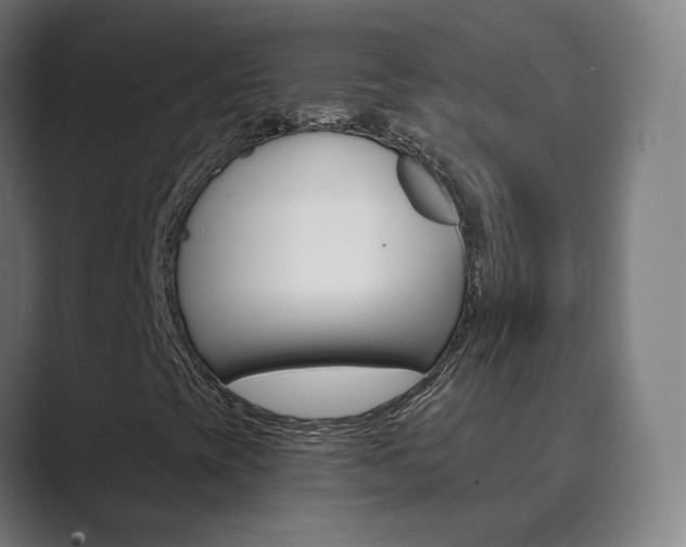 X0000089941393200706290806