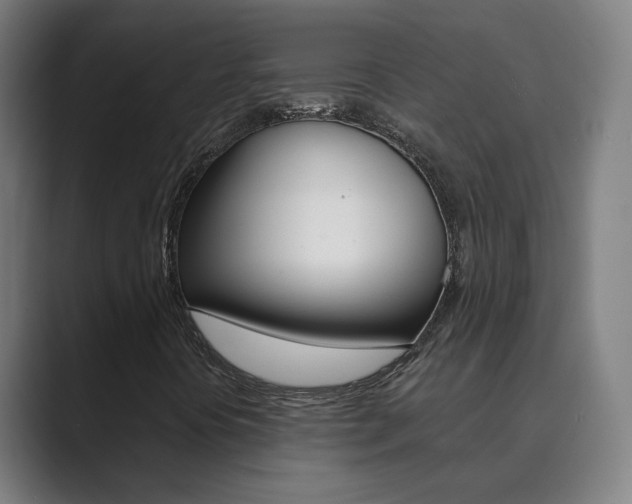 X0000089941394200706290806