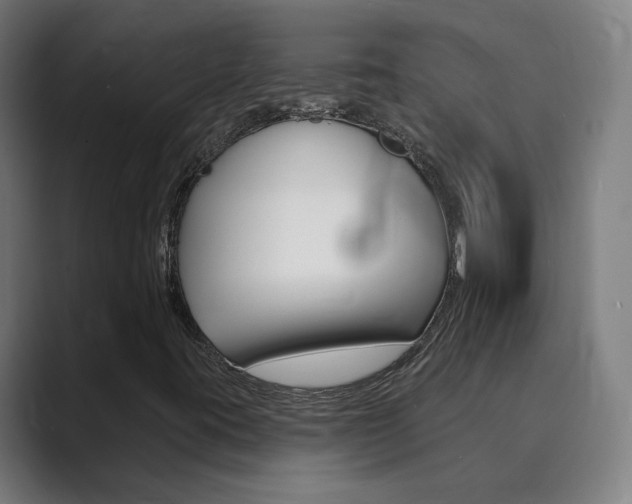 X0000089941395200706290806