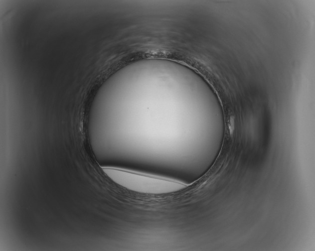 X0000089941396200706290806
