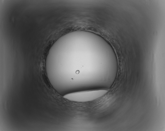 X0000089941397200706290806