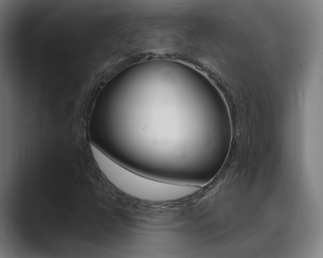 X0000089941398200706290806