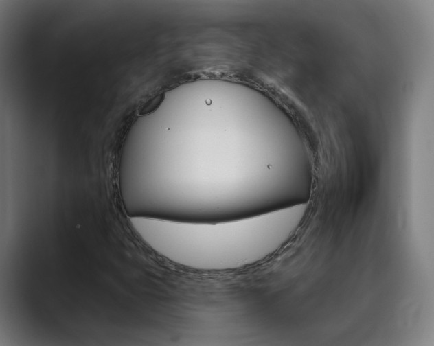 X0000089941399200706290806