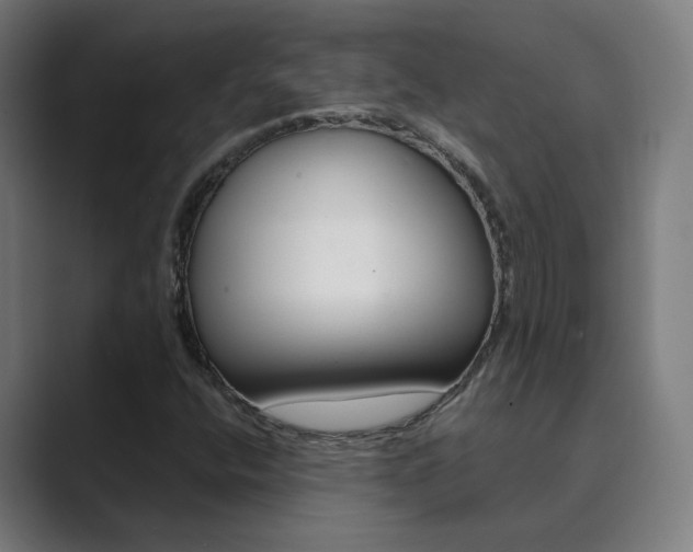 X0000089941400200706290806