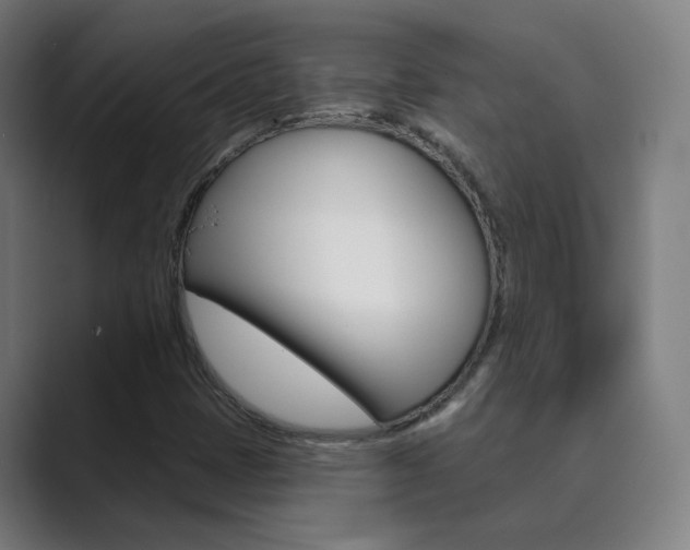 X0000089941401200706290806