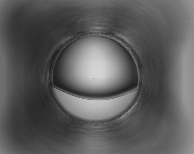 X0000089941402200706290806