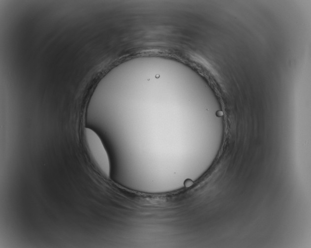 X0000089941403200706290806