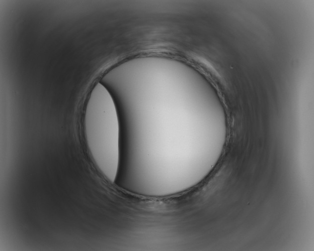 X0000089941405200706290806