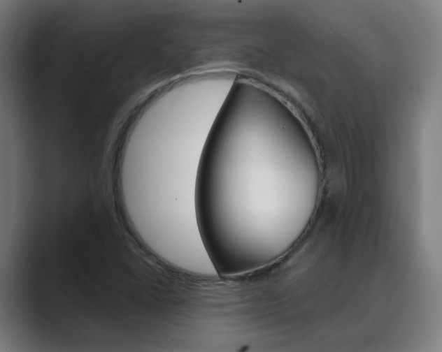 X0000089941406200706290806